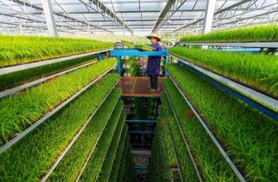 三农日报|政策:遴选社企对接重点县;专家:生物农药市场发展空间巨大;农产品产地仓:帮助农产品增值;褚氏农业:发力种植人才培养