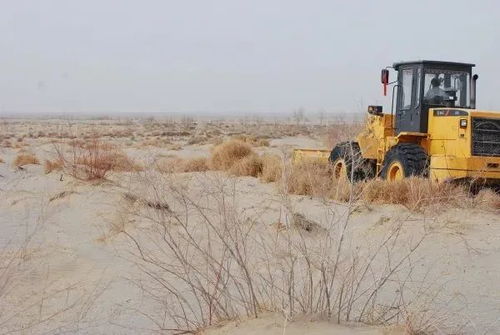 在荒漠开辟绿洲,用生态农业重建生物多样性