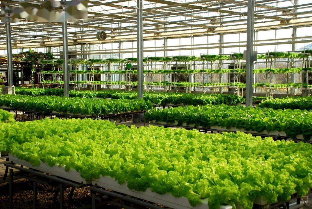 美国科学院公布:未来农业发展的五大方向_生物_提供数据_技术