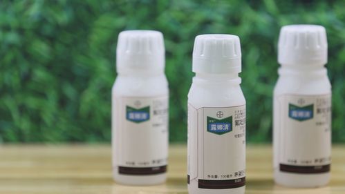 从拜耳进博会杀菌 杀虫 生物菌肥,解读农业高质量发展之道