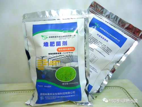 哈茨木霉是如何促进植物根系生长的 看看这篇文章就知道了