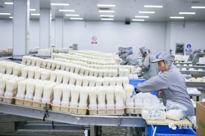 壮丽70年·奋斗新时代 | 邹城:“一张蓝图”绘就乡村振兴新图景