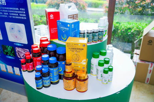 成都新朝阳 辩证观点看 农药 ,生物技术助力现代农业高质量发展 解码 专精特新