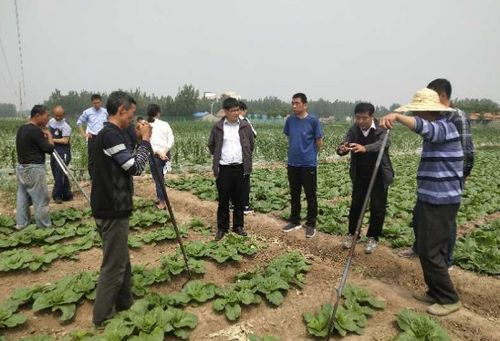 山东农科院蔬菜花卉所生物技术团队与乡村振兴上冶服务队开展支部联建活动