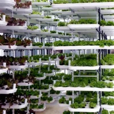 植物工厂 设施农业的最高级阶段