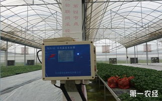 从太空种菜看高科技如何改造传统农业