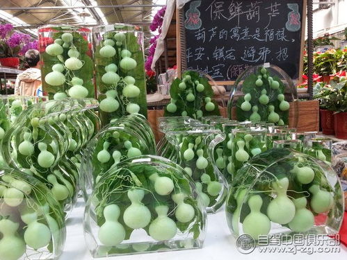 报名就送电话卡