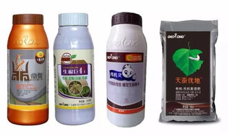 三年黄化柑橘树变绿了,多亏了植物龙这套产品解决方案