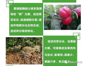 意赛格生物 得到农户和农资商们一致好评 都说好,您了解以后才