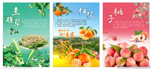 农特产品海报设计图