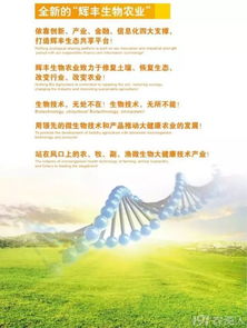 辉丰股份创新篇 行走在创新道路上的辉丰生物农业