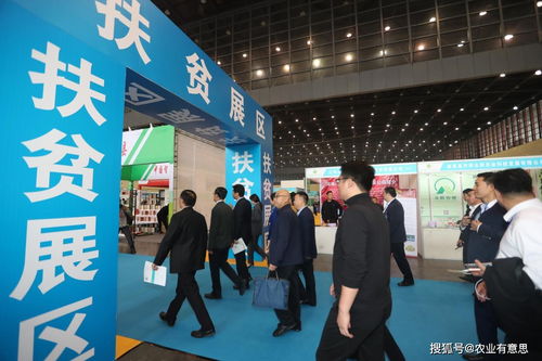 见过组团旅游的,见过组团参展的么