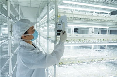 集装箱植物工厂或将成都市农业未来