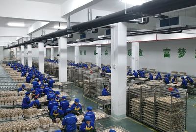 道真:科技创新推动产业增效