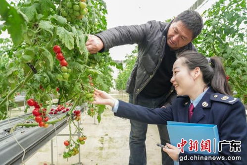 以税助农 小 蚯蚓带动企业 大 发展