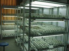陕西省农业分子生物学重点实验室