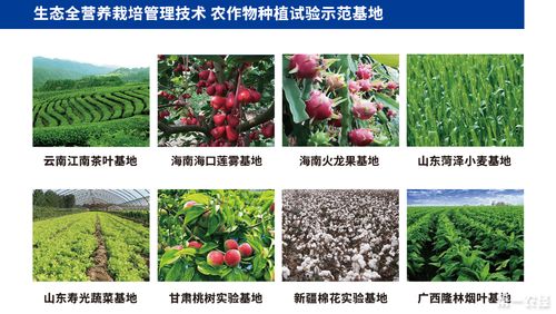 林氏生物鱼肽肥助力农业种植 农户增收 振兴乡村经济