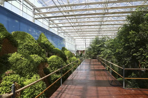 农博亮点抢先看丨五大洲植物领略世界农业风情