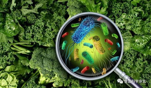 食品科学 单核细胞增生李斯特菌菌株分型与其致病潜力基因相关性研究进展
