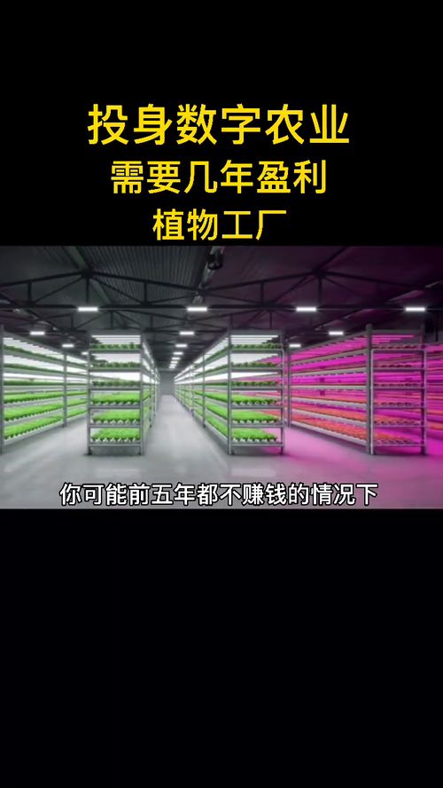 投身数字农业需要几年盈利 植物工厂