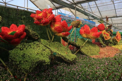 500张门票免费送 玩游戏就能获奖 包头发布带你 一路向福 嗨新年
