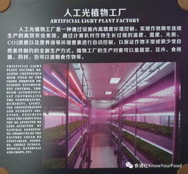 人造肉 植物工厂 垂直农场,这些黑科技会带来更好的食物吗