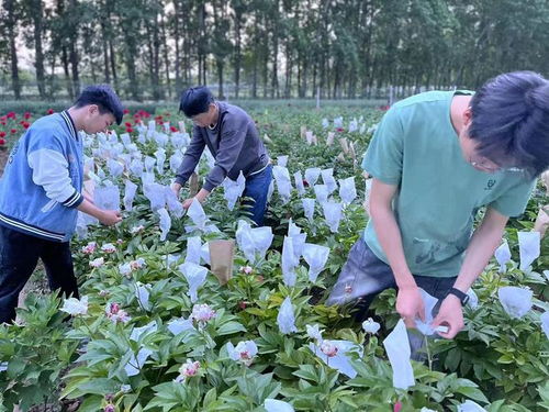 菏泽学院农业与生物工程学院 聚焦特色,解决痛点 以校地融合促转型