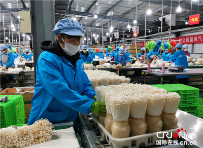 杨凌示范区:特色农业产业化发展如火如荼