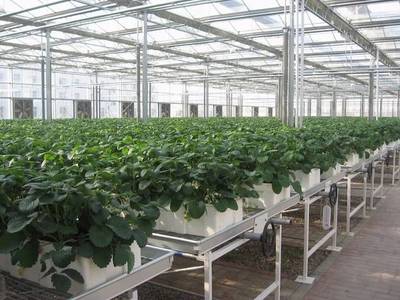 长三角资讯 | 江苏省无锡市以智慧农业引领示范区建设