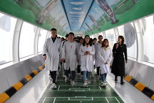 见习 生命科学学院生物工程系与设施农业科学与工程专业师生参观内蒙古呼和浩特市蒙牛六期工厂