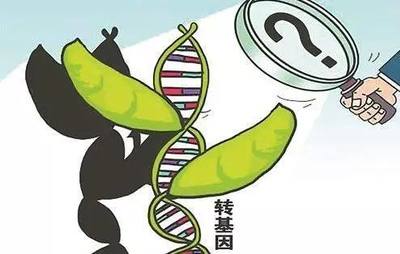 61部农业规章或修或废,5部涉转基因