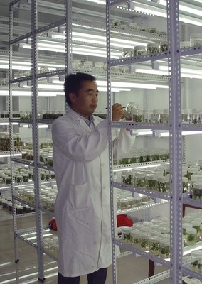 郑洪建 研究员 玉米生物技术与分子育种