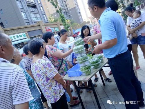 陕西旭田光电农业潼南植物工厂携手新鸥鹏物管家,感恩回馈业主活动