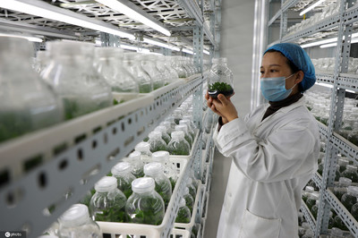 山东滨州:“现代生物技术”助推农业转型升级