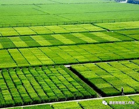 高考地理年年考农业,如何考新型农业呢 高考地理新出现的几种农业名词,同时学习农业区位分析问题
