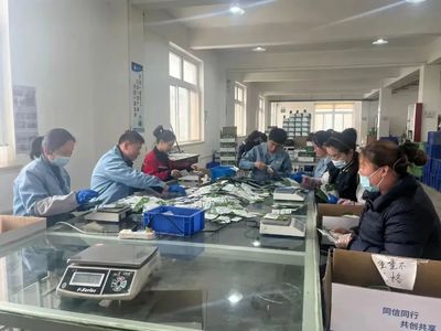 杨凌,奔跑在高质量发展的春天里!