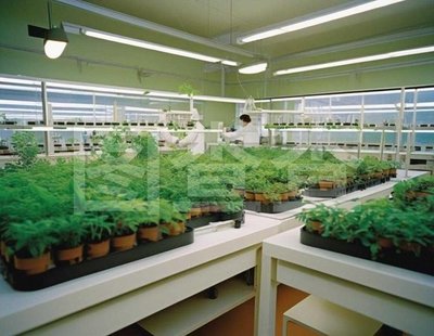 "农业植物实验室布置图