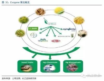 生产力爆表:领先科技是如何铸就以色列的沙漠农业奇迹