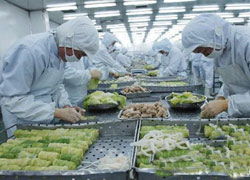 今年前10月我国出入境检验检疫机构截获有害生物10万多次
