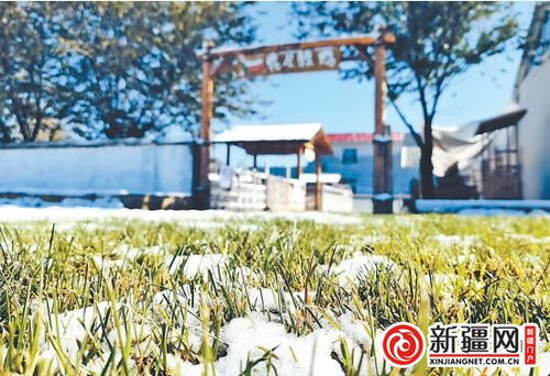 农村美,农民富 乌鲁木齐乡村焕发新活力