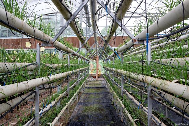 沈阳农业大学:农业生物技术专业深耕科研沃土,引领农业科技