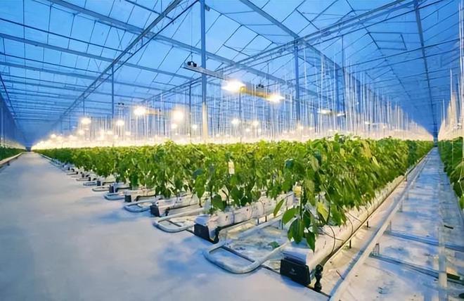 院士:生物育种产业化加速;新希望:打造“帮养