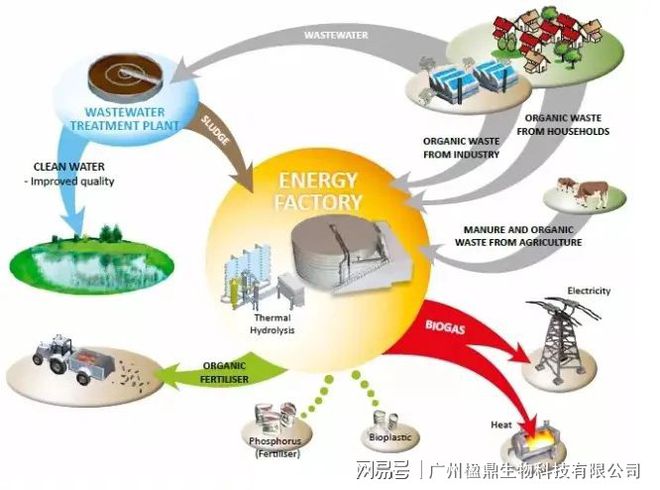 楹鼎生科--推进绿色生产 助力农业废弃物全量利用